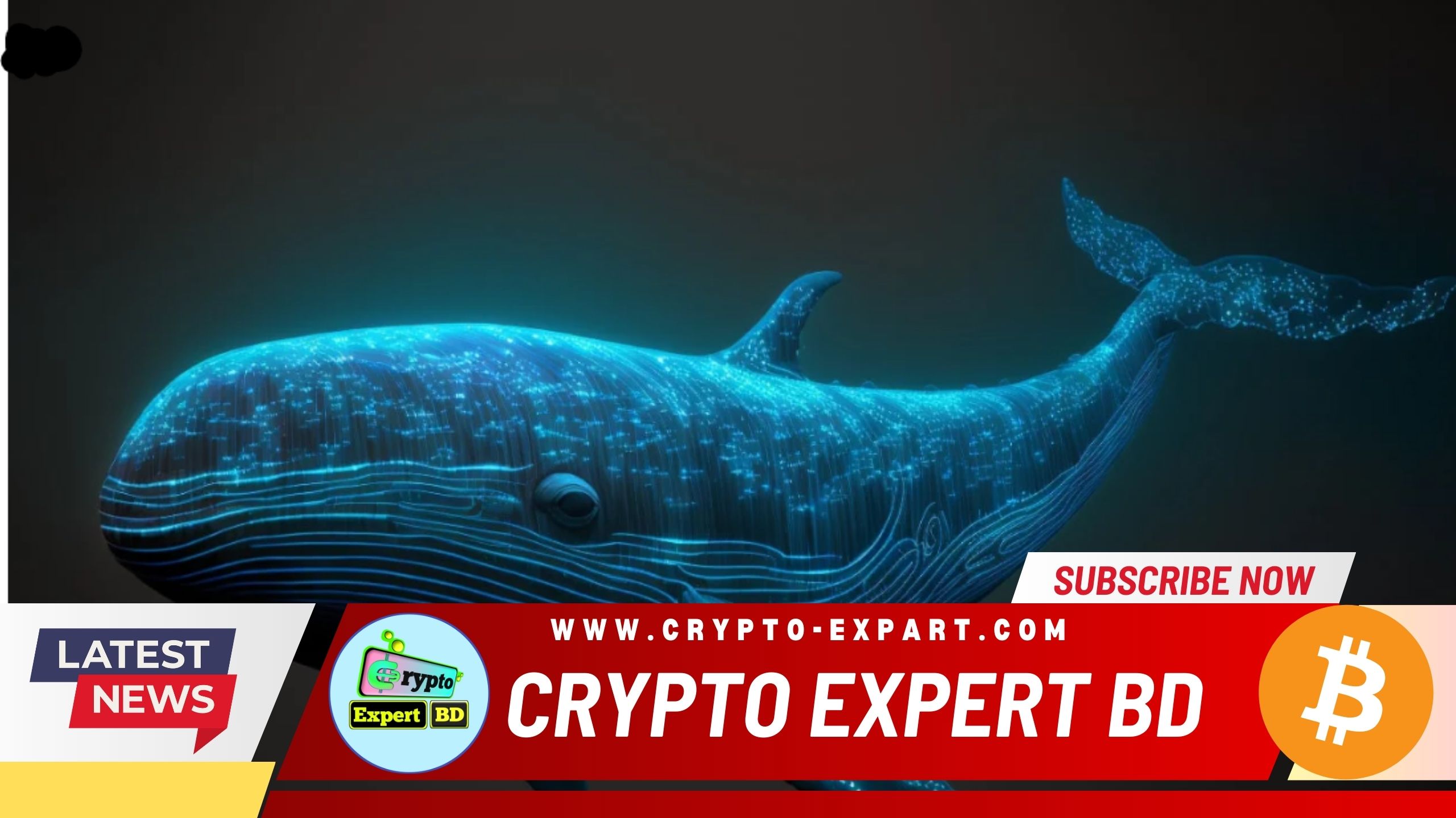 Crypto Whales Show Interest in GFOX, Ethereum (ETH), and XRP as Accumulation Grows