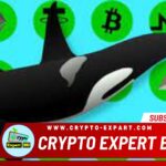 Bitcoin Whales Transfer Nearly $1 Billion Worth of Assets From Coinbase – What’s Behind the Move?