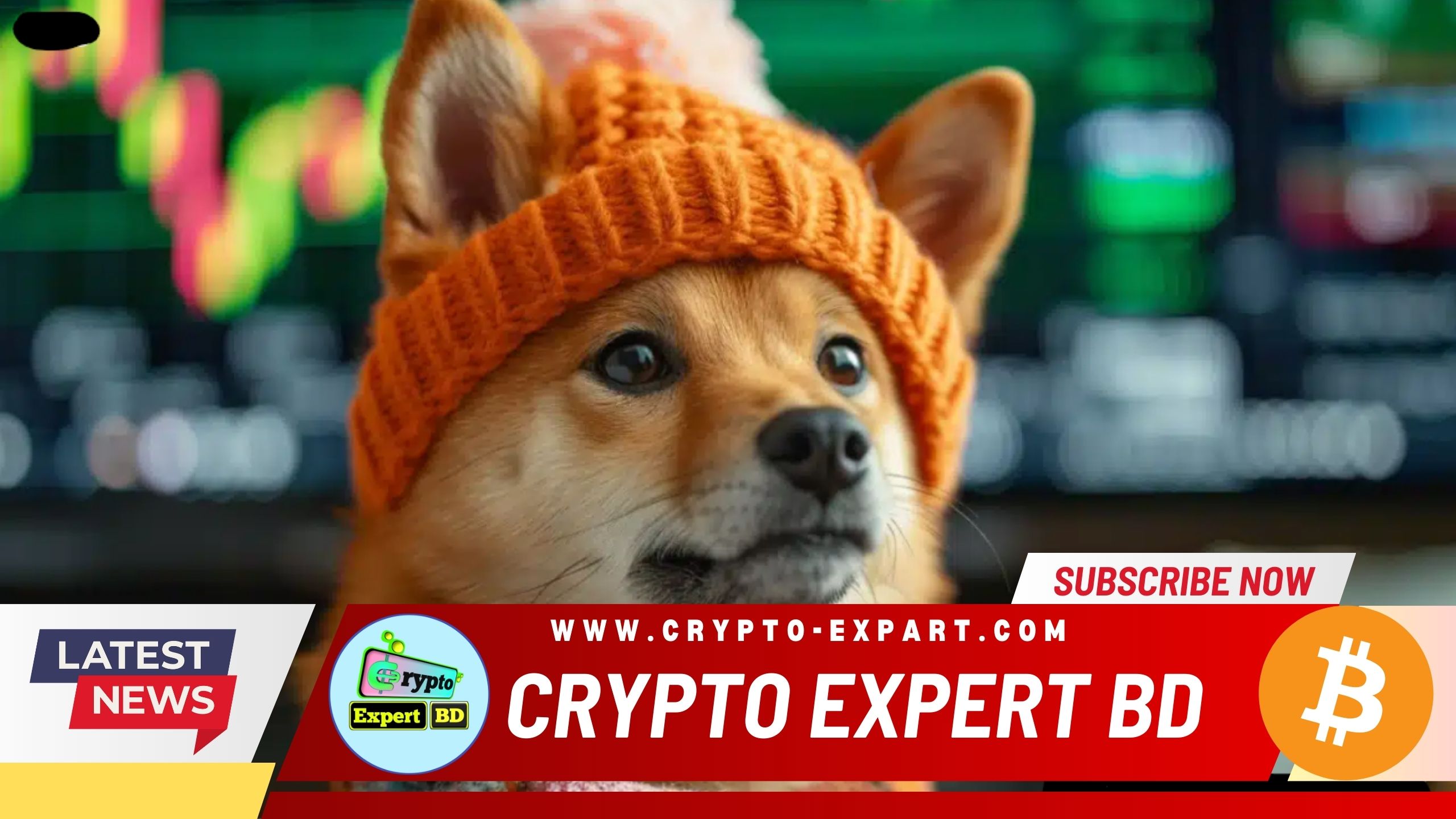 Dog-Themed Meme Coin WIF Hits Two-Month High Amid Rising Trader Skepticism